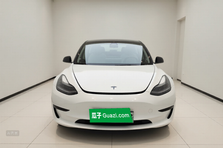 Tesla Model 3 2023 car image #3