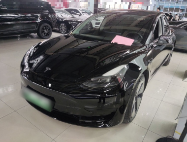Tesla Model 3 2021 Tesla Model 3 2021 car image