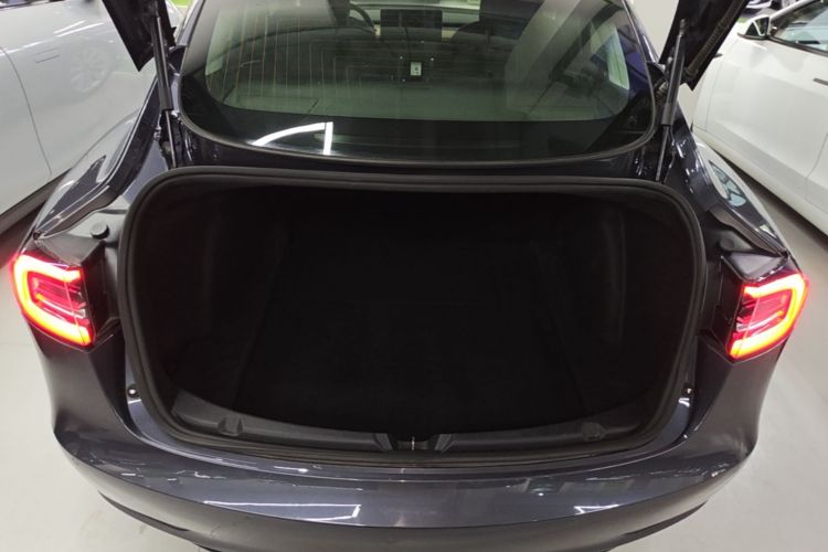 Tesla Model 3 2020 car image #19