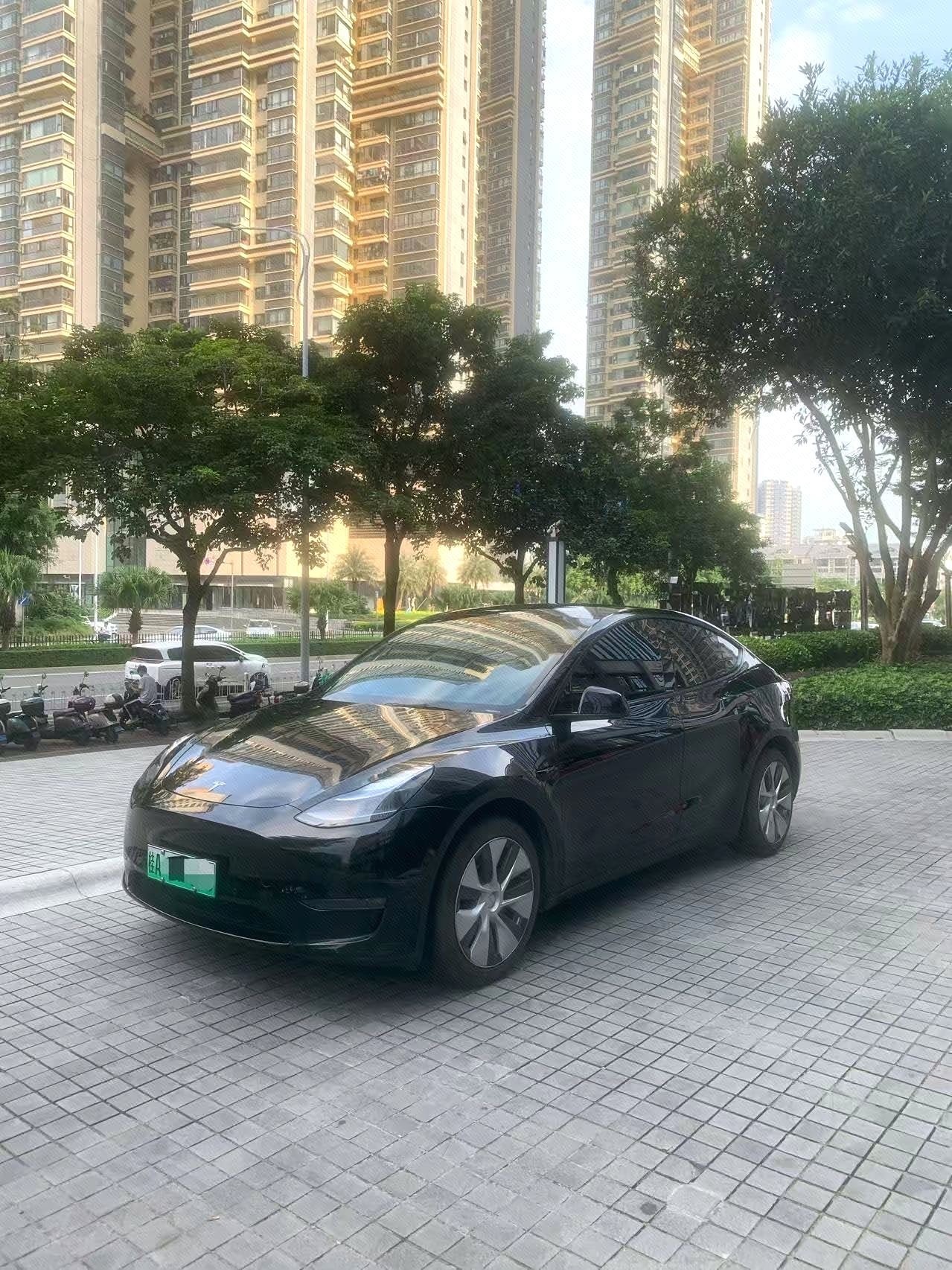 Tesla Model Y 2023 car image 