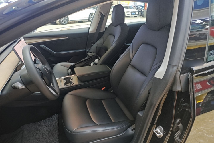 Tesla Model 3 2021 #15 Tesla Model 3 2021 car image #15