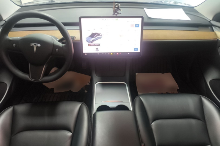 Tesla Model 3 2021 car image #10