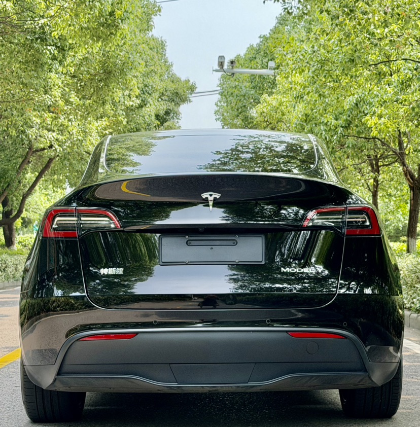 Tesla Model Y 2023 #7 Tesla Model Y 2023 car image #7