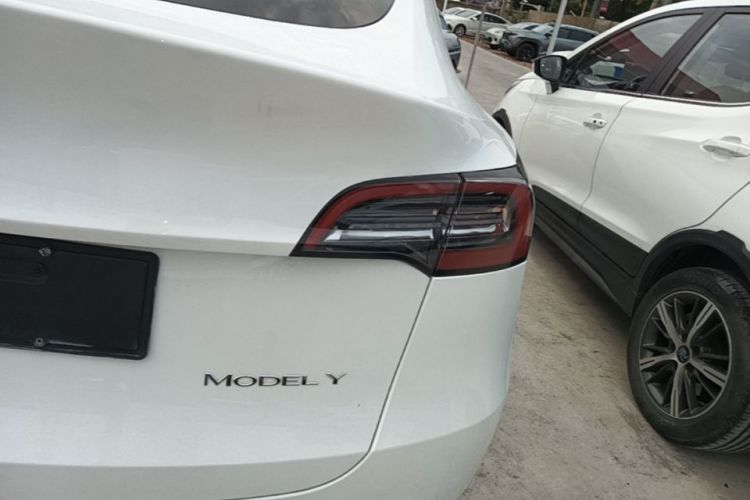 Tesla Model Y 2022 #8 Tesla Model Y 2022 car image #8