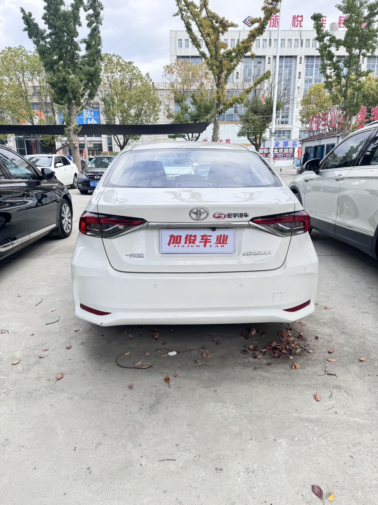 Toyota Corolla 2022 imagem de carro #7