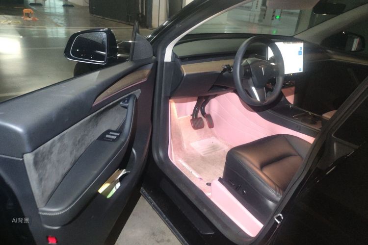 Tesla Model Y 2021 #18 Tesla Model Y 2021 صورة سيارة #18