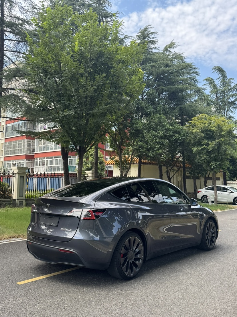 Tesla Model Y 2023 car image #9