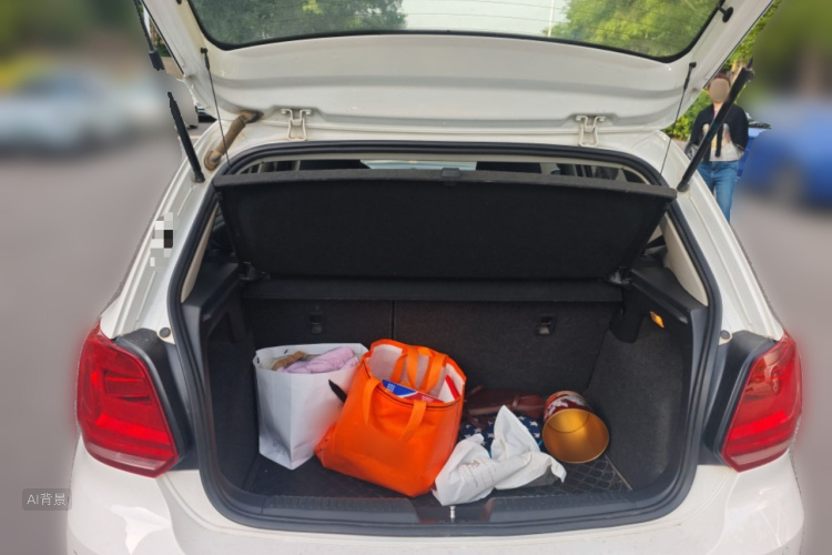 Volkswagen Polo 2018 imagem de carro #21