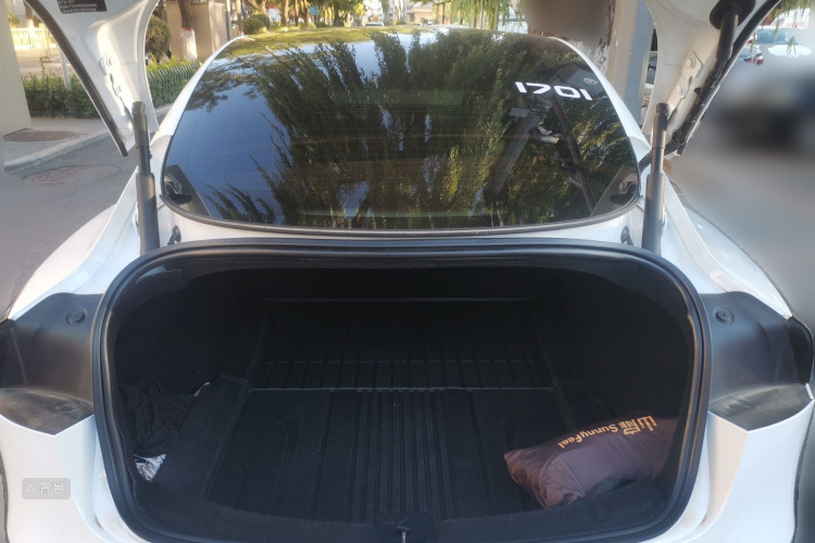 Tesla Model 3 2024 #21 Tesla Model 3 2024 car image #21