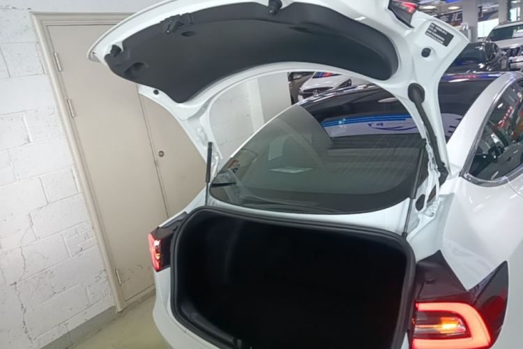 Tesla Model 3 2020 #19 Tesla Model 3 2020 car image #19