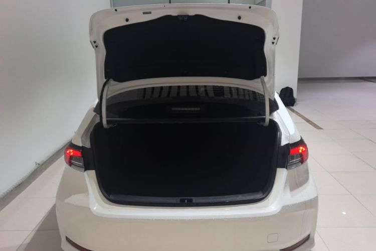 Toyota Corolla 2021 car image #19