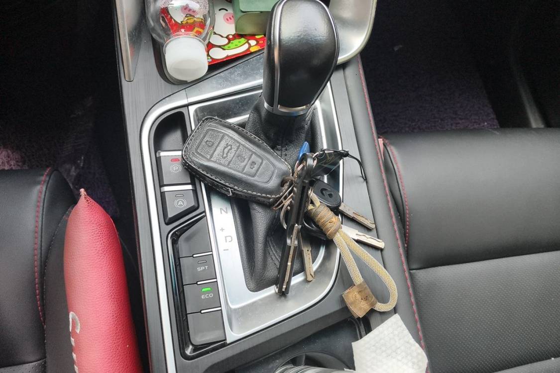 GEELY Binray 2020 #27 GEELY Binray 2020 immagine di auto #27