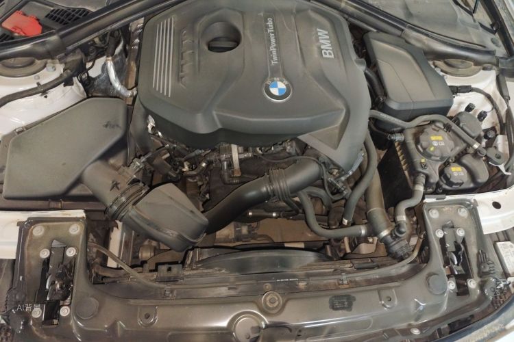 BMW 3 Series 2016 car image #22