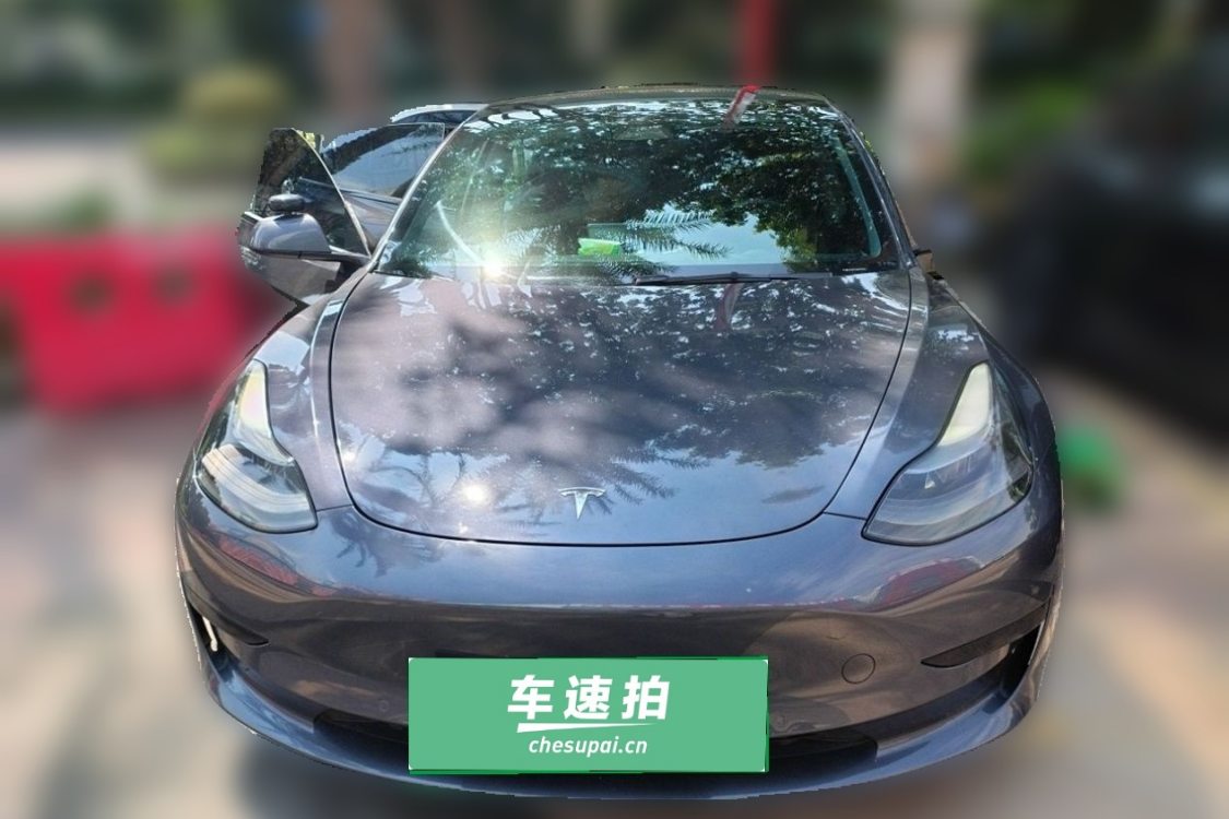 Tesla Model 3 2021 #5 Tesla Model 3 2021 immagine di auto #5