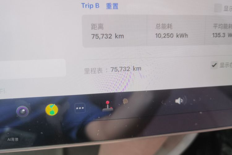 Tesla Model 3 2021 car image #14