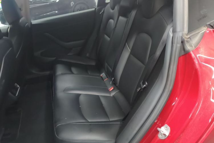 Tesla Model 3 2021 car image #13