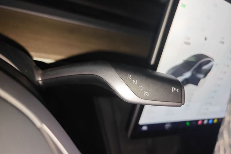 Tesla Model Y 2023 #14 Tesla Model Y 2023 car image #14