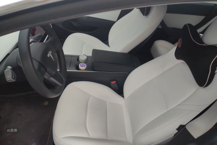 Tesla Model 3 2020 #17 Tesla Model 3 2020 car image #17