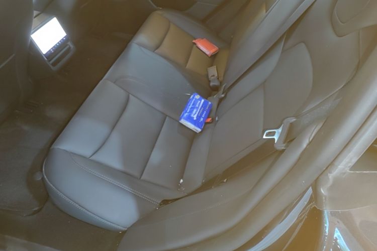 Tesla Model 3 2025 #17 Tesla Model 3 2025 car image #17
