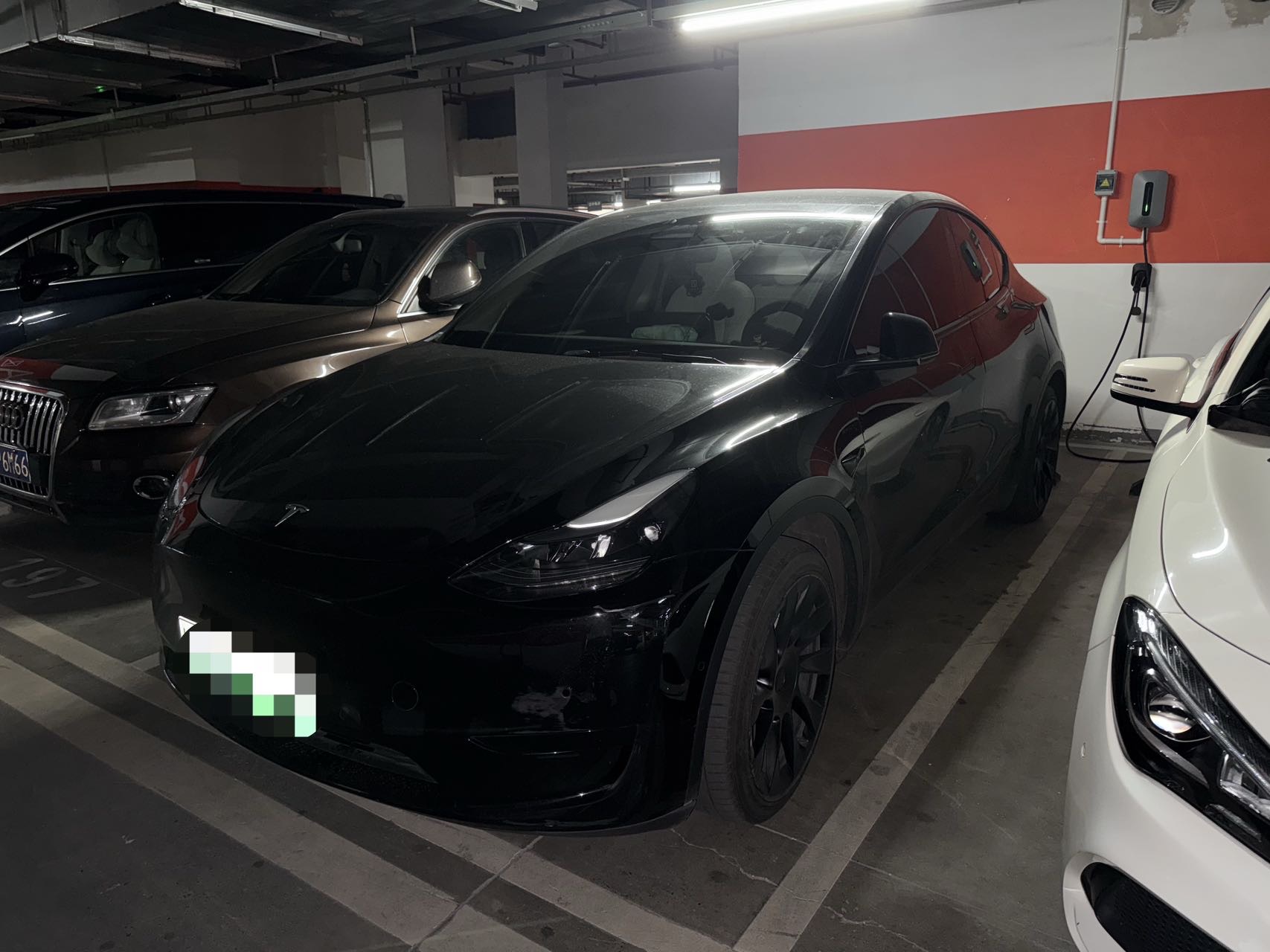 Tesla Model Y 2022 Tesla Model Y 2022 car image