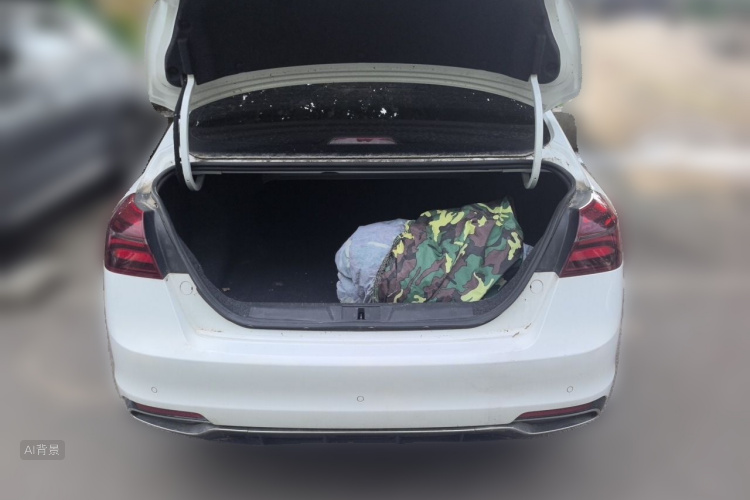 GEELY Emgrand 2019 #21 GEELY Emgrand 2019 car image #21