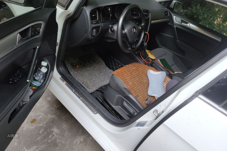 Volkswagen Golf 2019 car image #18