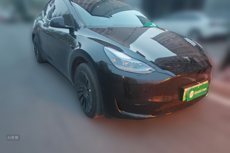 Tesla Model Y 2023 car image #4