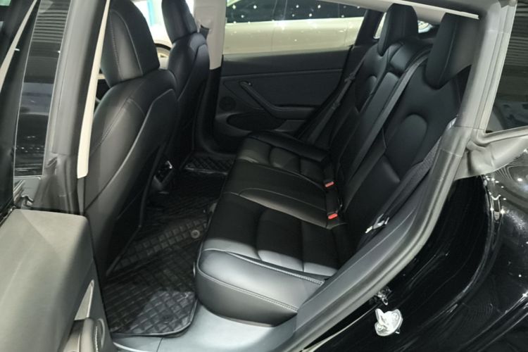 Tesla Model 3 2023 car image #17