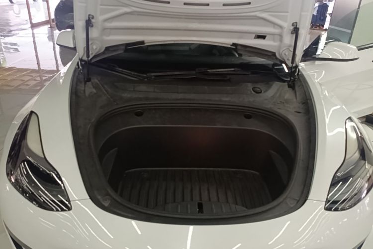 Tesla Model 3 2021 #20 Tesla Model 3 2021 car image #20