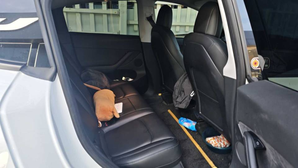 Tesla Model Y 2021 #2 Tesla Model Y 2021 car image #2