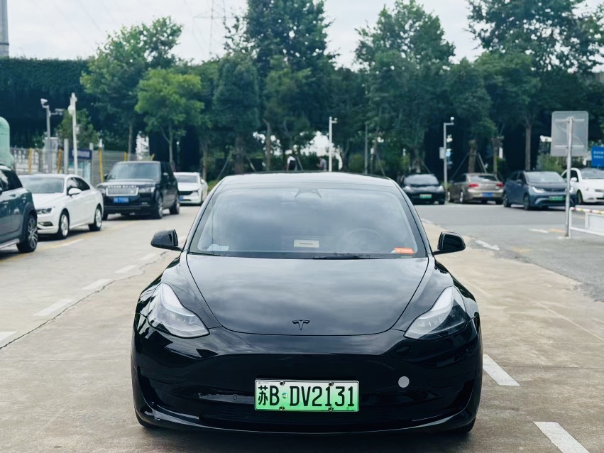 Tesla Model 3 2023 #2 Tesla Model 3 2023 car image #2