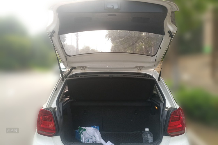 Volkswagen Polo 2016 car image #21