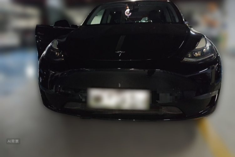 Tesla Model Y 2021 car image #3