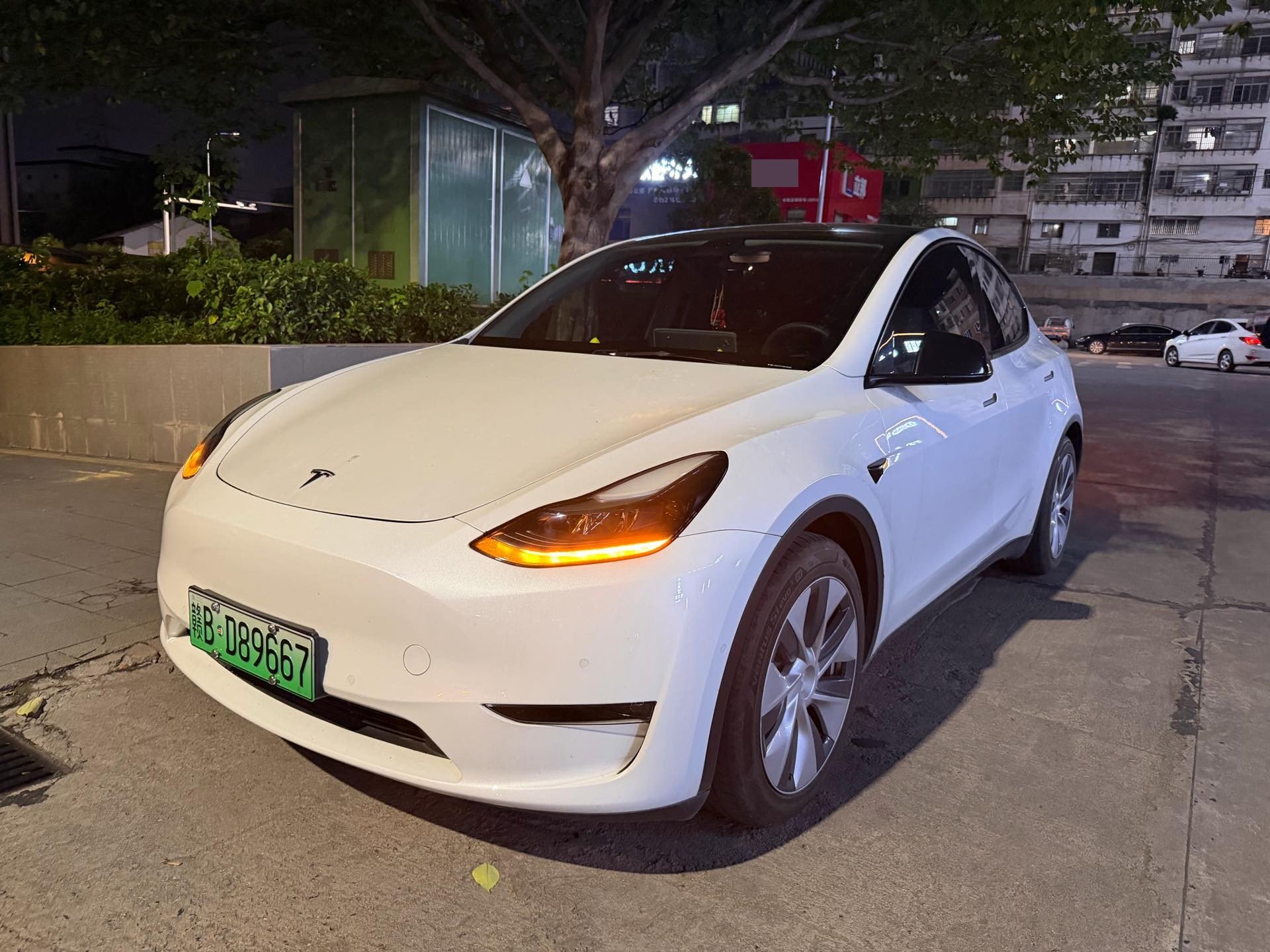 Tesla Model Y 2021 Tesla Model Y 2021 car image