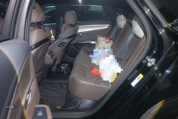 BYD Han 2023 immagine di auto #19