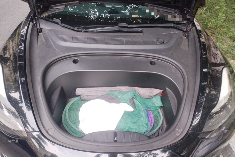 Tesla Model 3 2021 car image #22