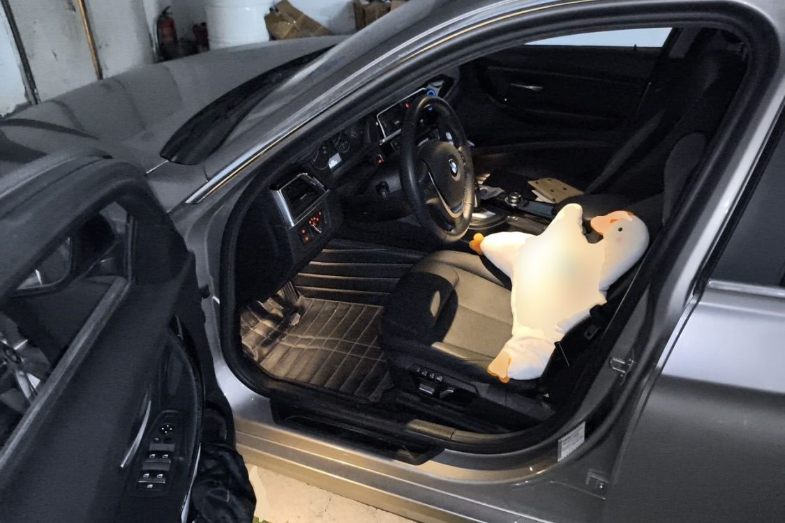 BMW 3 Series 2016 car image #23