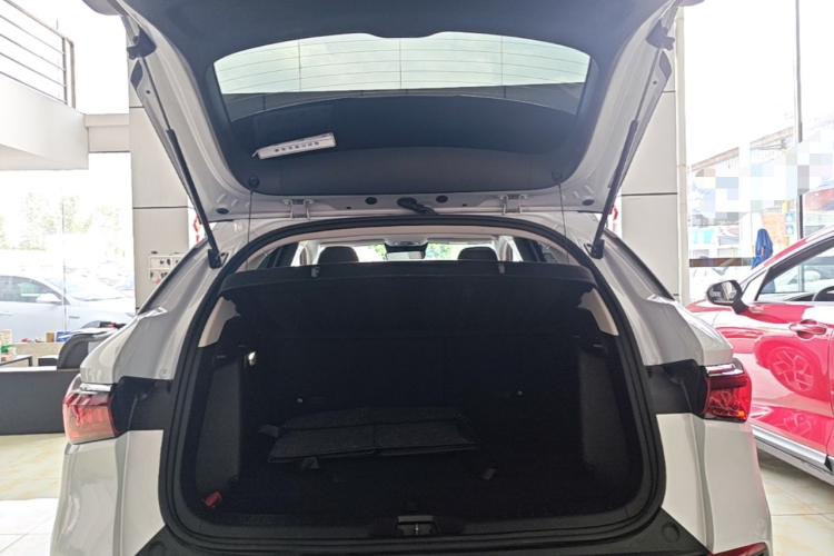 BYD Yuan Plus 2023 car image #19
