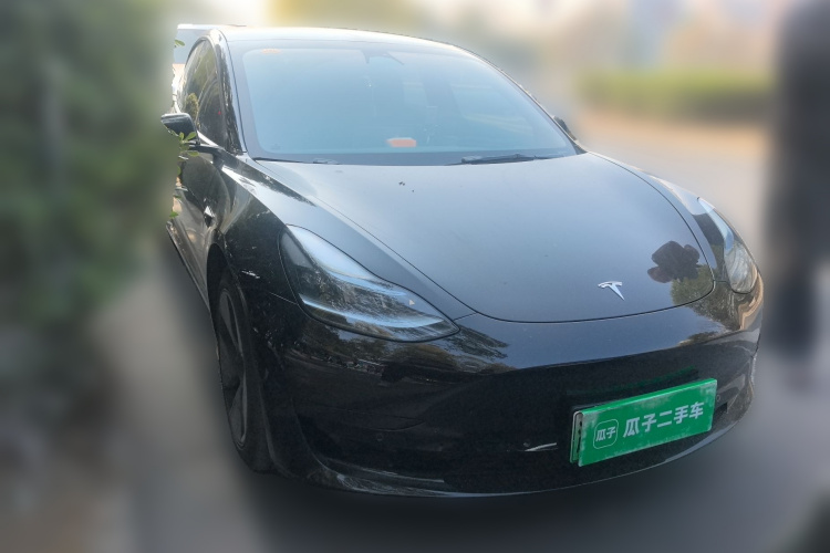 Tesla Model 3 2023 car image #3