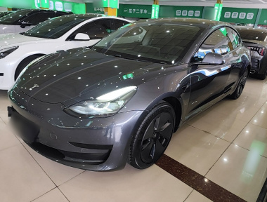 Tesla Model 3 2021 Tesla Model 3 2021 car image