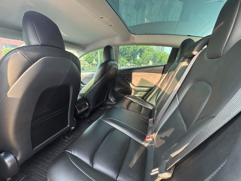 Tesla Model 3 2020 #6 Tesla Model 3 2020 car image #6