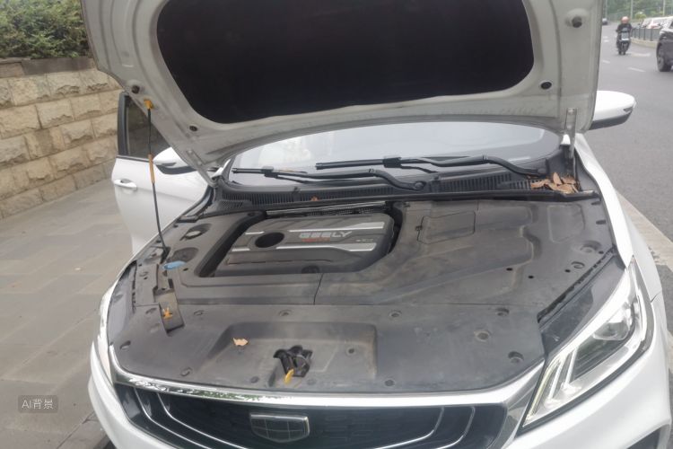 GEELY Binray 2019 #22 GEELY Binray 2019 immagine di auto #22