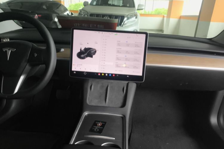 Tesla Model 3 2021 #13 Tesla Model 3 2021 car image #13