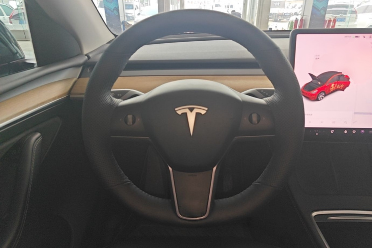 Tesla Model Y 2021 car image #11