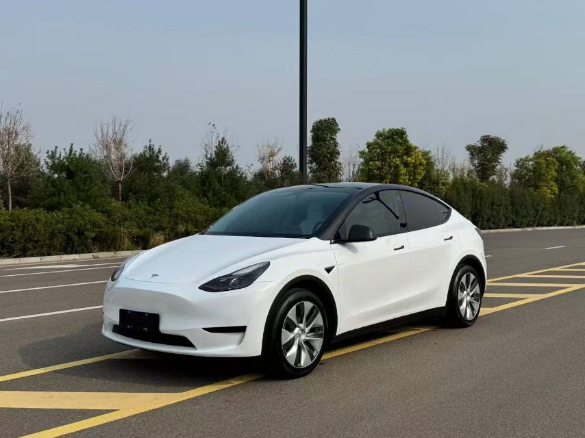 Tesla Model Y 2022 car image 