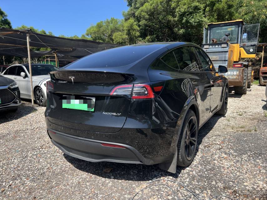 Tesla Model Y 2023 #4 Tesla Model Y 2023 صورة سيارة #4