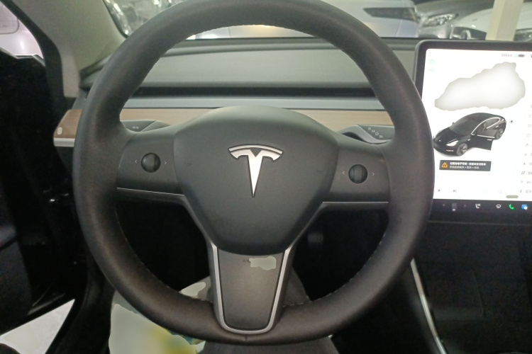 Tesla Model 3 2020 car image #15