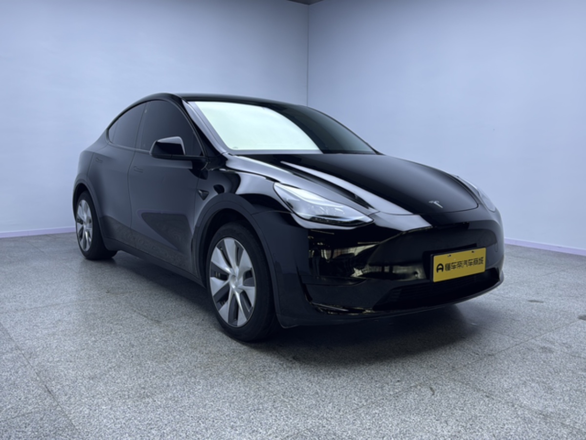 Tesla Model Y 2023 car image #6