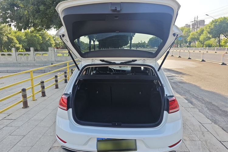 Volkswagen Golf 2019 #17 Volkswagen Golf 2019 car image #17