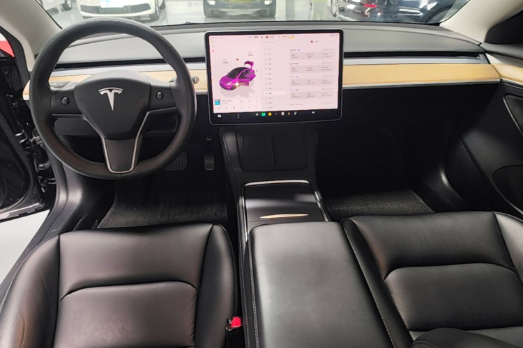 Tesla Model 3 2022 #10 Tesla Model 3 2022 car image #10